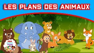 Les Plans Des Animaux - Histoire pour enfants | Contes De Fées | Histoire Pour S'endormir