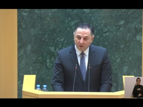 ვახტანგ გომელაურის ანგარიში პარლამენტს - მინისტრის საათის ფორმატი სესიაზე