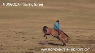 MONGOLIA - How to break a horse Mongolian style - By Mongolia Travel & Tours