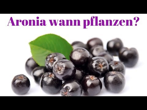 Wann ist der