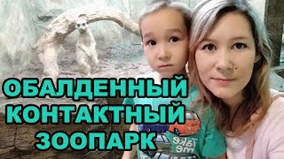 Куда сходить в Сочи с детьми зимой. Контактный зоопарк в парке Ривьера.