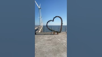 Câu cá điện gió hòa bình bạc Liêu