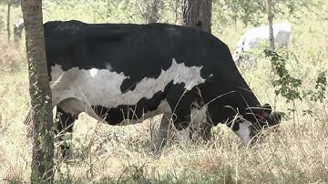 UCCCU and access2innovation