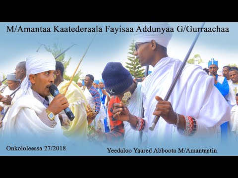 Warabii Ayyaana Waggaa Beektoota Mana Amantaa Kaatederala Madanialeemii G Gurraacha Warabii Ayyaana Waggaa Beektoota Mana Amantaa Kaatederala Madanialeemii G Gurraacha