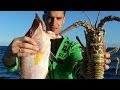 Подводная Охота. Майами. Spearfishing in Miami.