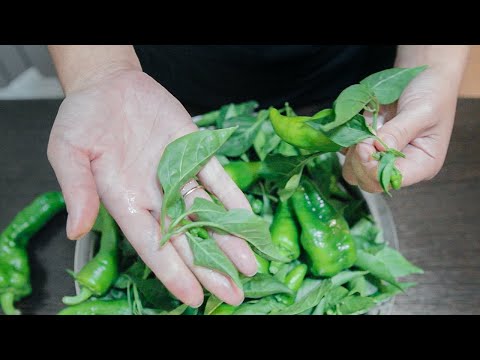 ЛИСТЬЯ ПЕРЦА НЕ ВЫБРАСЫВАЮ! Готовлю вкусную закуску по корейски. Корейская кухня
