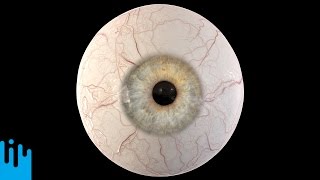 EYEBALL RECONSTRUCTION -- Mind Blow #110