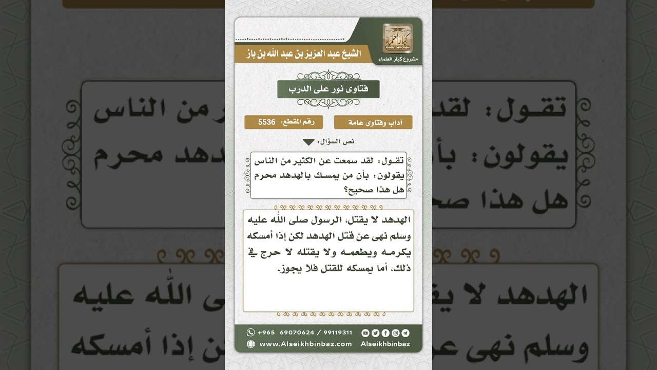 5536 - حكم قتل الهدهد - نور على الدرب