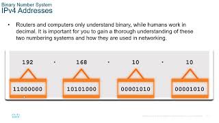 Celebrity NetAcad ITN Module 05: Number Systems Net Worth