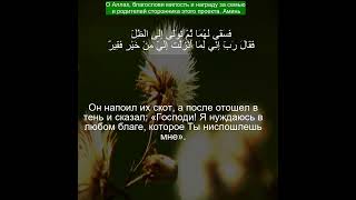 Коран Сура Аль-Касас | 28:24 | Чтение Корана с русским переводом| Quran Translation in Russian