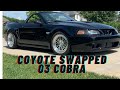 2003 Coyote Swapped Cobra?????