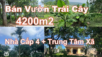 Bán nhà vườn 4.2sào trái cây. Gần trung tâm giá rẻ. Nhà . Điện nước wf đầy đủ .