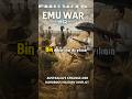 Emu War, tarihin en tuhaf “savaşlarından” biri olarak kabul edilir.#keşfet #shorts #tarih