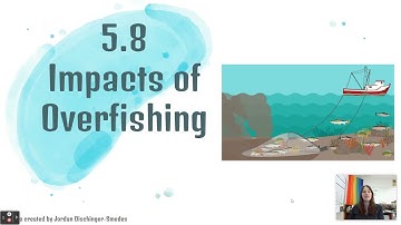 5.8 Notes - Impacts of Overfishing