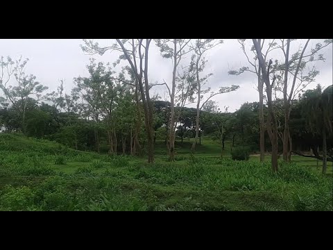 Chakma  New Video Romantic Song  Hospanagan Hidw Hijeni