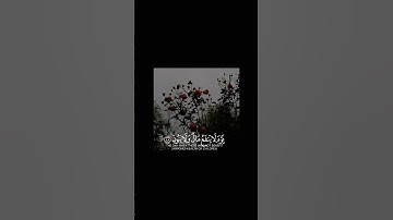 سورة الشعراء بصوت طفل#قرآن