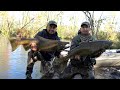 Increíbles Peleas De Salmones De De Río, Pesca De Salmón Video #2