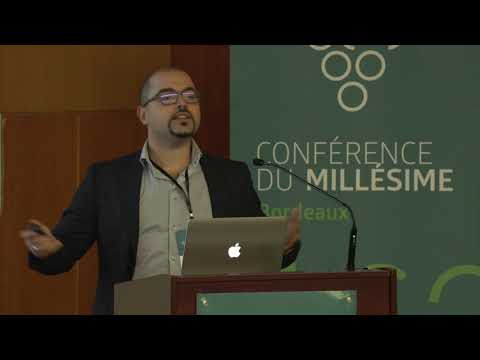 2019 Bordeaux Conference du Millesime Carlo Cuamo Maturation ou concentration le défi du millesime