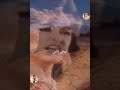 تصدق بالله