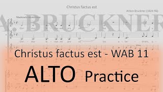 Bruckner / Christus factus est - Alto practice