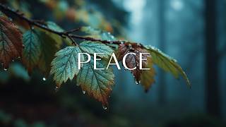 Soft Worship Instrumental Background Music - Quiet Time With God - Peaceful Piano Melody screenshot 5