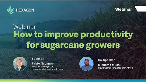 Webinar: How to improve productivity for sugarcane growers