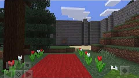 ASB Application video