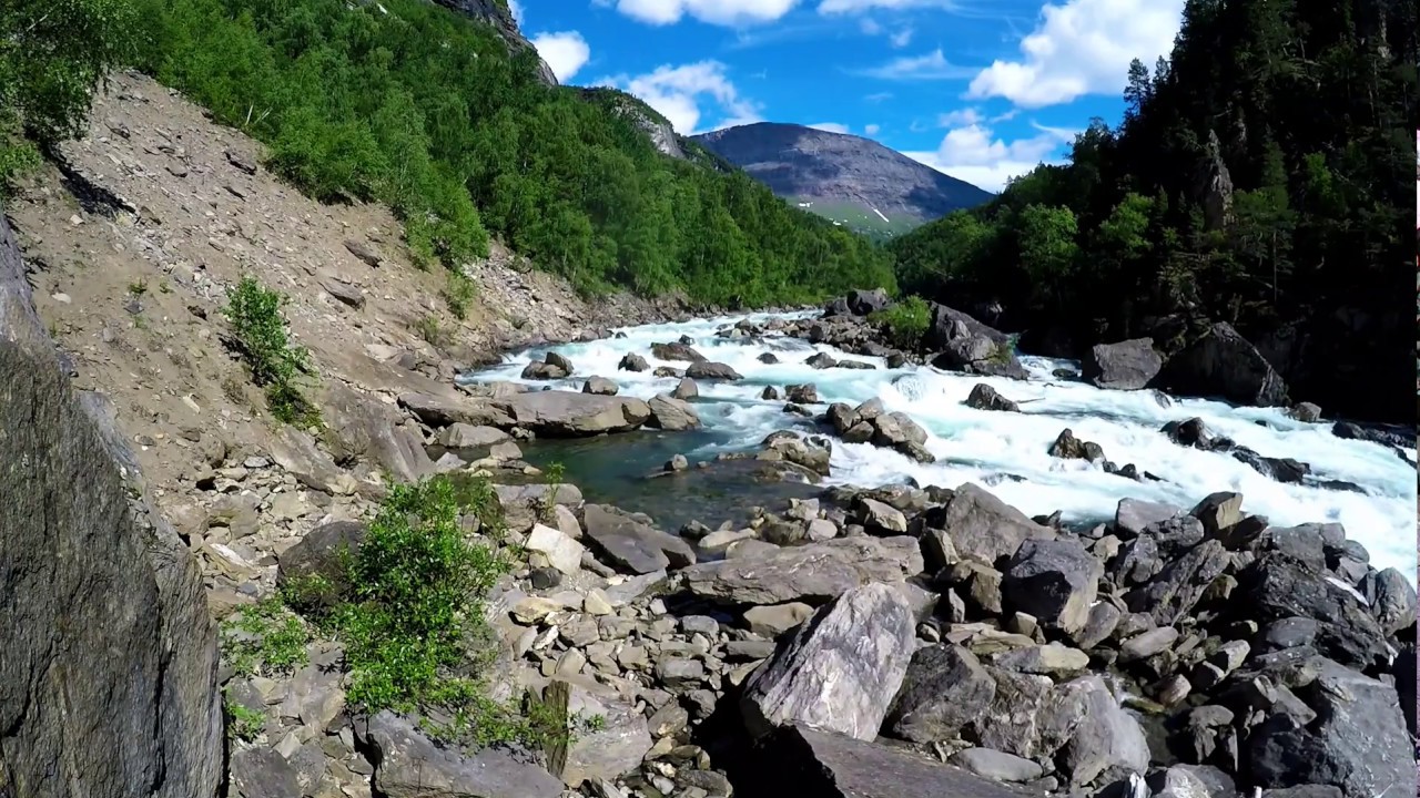 Skogstur langs Junkerdalsura i Saltdal