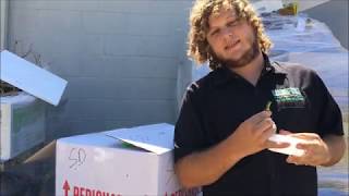 lllreptile and supply co inc