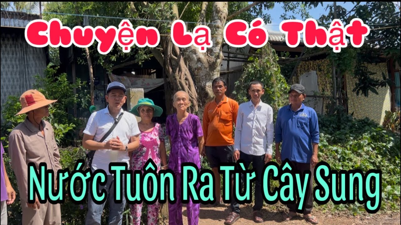 Chuyện Lạ Có Thật Nước Tuôn Ra Từ Cây Sung,Ai Cũng Ngỡ Ngàng.