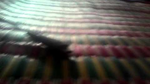 Vua sac dt vua quay phim bi no chet nguoi