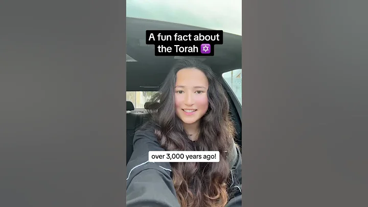 What Does the Torah Mean? 🤔