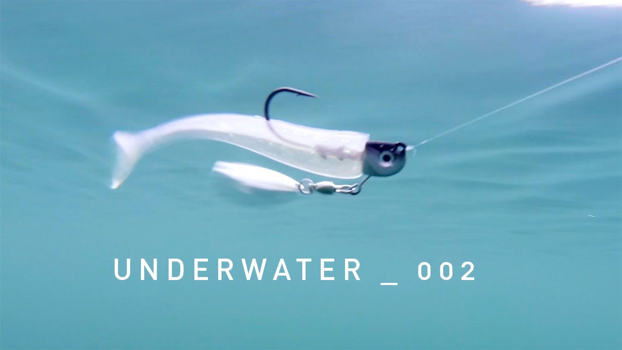 WARBAITS FISHING - UNDERWATER _ 002 
