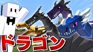 【マイクラ】ドラゴンだらけの世界で全てのドラゴンを飼いならす #16(終) ドラゴンを制覇！【マインクラフト】