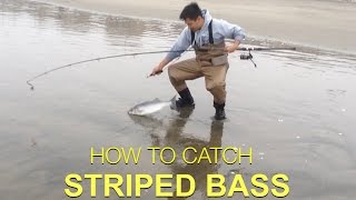 TIPS ON HOW TO CATCH STRIPED BASS  Surf Fishing