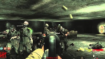 CoD WaW Custom Zombies Fanatic