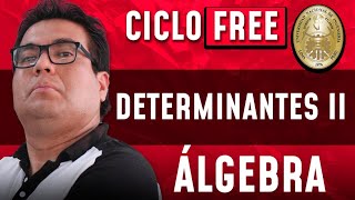 PROPIEDADES DE LA DETERMINANTE 📐 DETERMINANTES II [CICLO FREE]