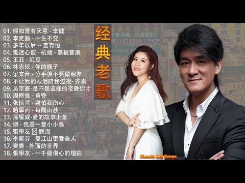 【经典老歌100】一人一首成名曲《假如爱有天意-李健 \李克勤 - 一生不变 \多年以后 - 姜育恒 \鬼迷心竅 - 杭嬌 \王菲 - 紅豆 \林志炫 - 你的樣子》#08