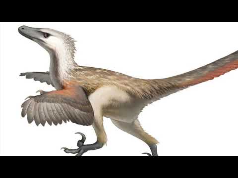 ☊ Velociraptor Sounds Soundboard