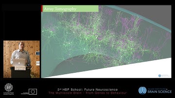 Collman Forrest - Synaptic mapping