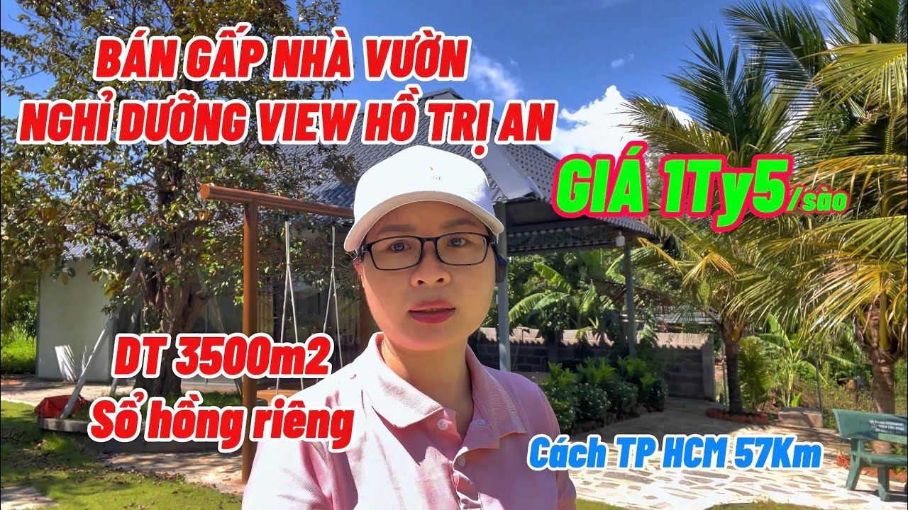 BÁN GẤP NHÀ VƯỜN NGHỈ DƯỠNG VIEW HỒ TRỊ AN, VƯỜN TRÁI CÂY SẦU RIÊNG, DỪA, VÚ SỮA....