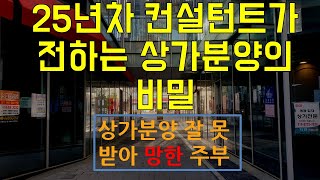 25년차 창업컨설턴트가 밝히는 상가분양의 비밀 - 상가분양가 반토막나 망한 주부