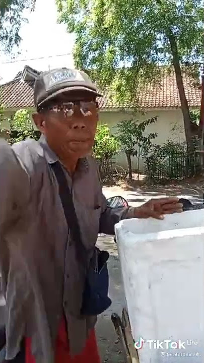 Penjual Udang Latah, bahasa madura #videolucu #banyuwangiviral #madura