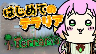 ひなの羽衣 ひなのうい Vtuber バーチャルyoutuber ひなの羽衣 ひなのうい Vtuber バーチャルyoutuber