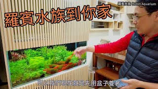 Robin aquarium came to your home unboxing new fish tank house aquatic plant
