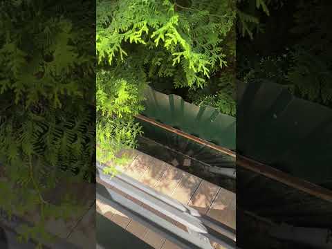 Сзади дома лучше сделать деревянный настил, вместо газона #дом #стройка #стаслагеда #каркасныедома