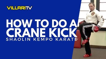 How to do a Crane Kick - The Karate Kid and Cobra Kai