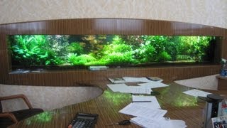 "Голландский аквариум" 1000 литров "Голландский аквариум" 1000 литров
