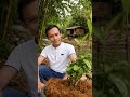 Kadang yang bikin tanaman susah tumbuh bukan cara rawatnya,tapi media tanamnya #cocopeat #mediatanam