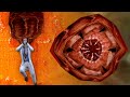 Half-Life series - Barnacle Eating Behavior Overview